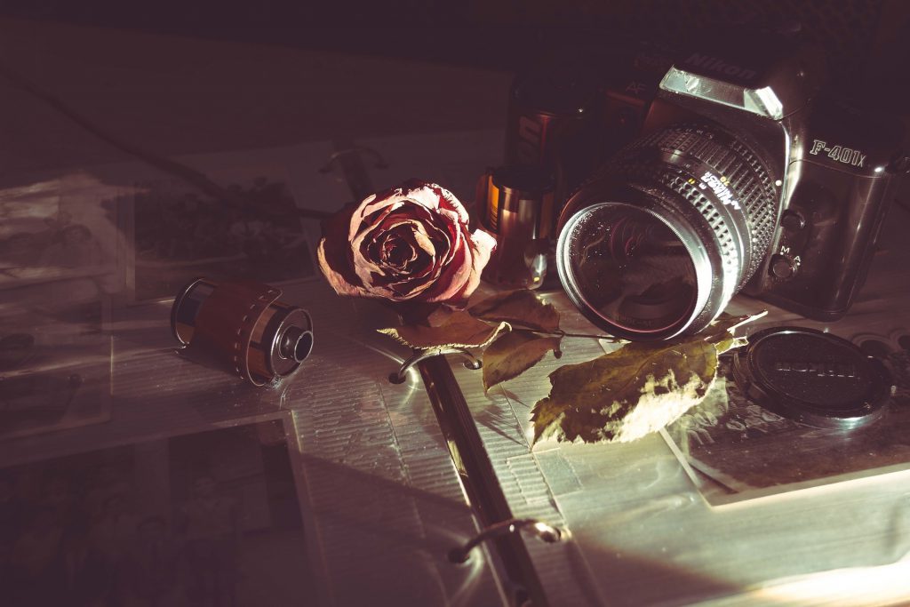 Ein Stilleben mit einer Rose, einer Kamera und einer Filmrolle