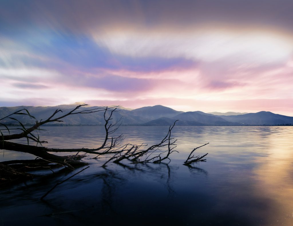 Sonnenaufgang am See mit einem toten Baum im Wasser